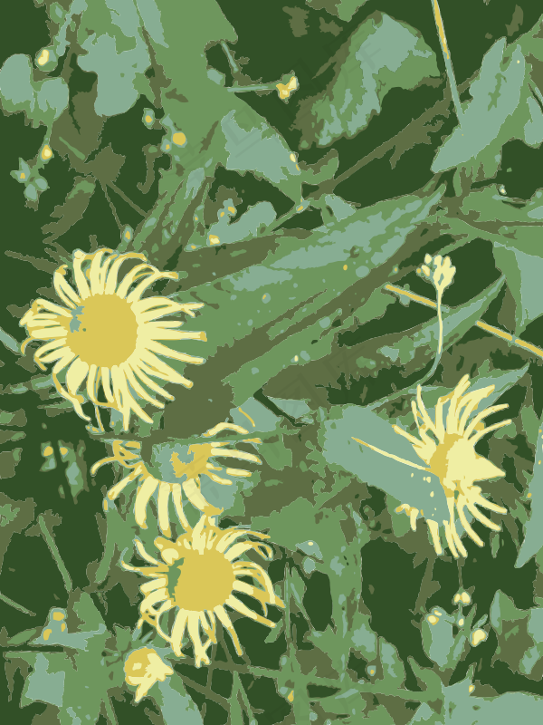 原aiflowers 261
