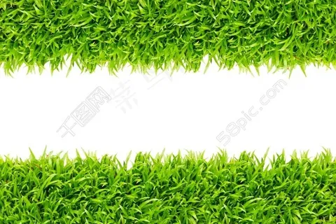 绿草 绿草