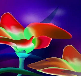 花瓣背景无框画图片