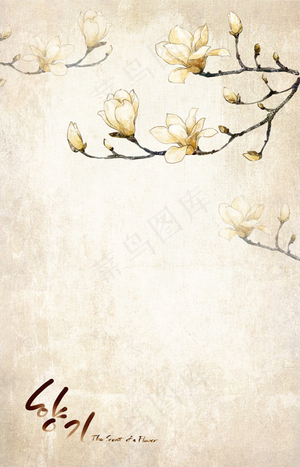 唯美玉兰背景PSD素材(3189X4961(DPI:300))psd模版下载