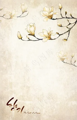 唯美玉兰背景PSD素材