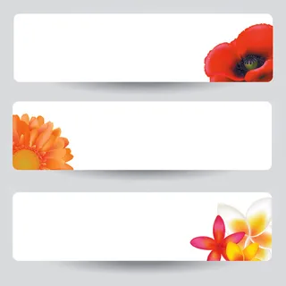 鲜花绿叶装饰横幅矢量素材 鲜花绿叶装饰横幅矢量素材