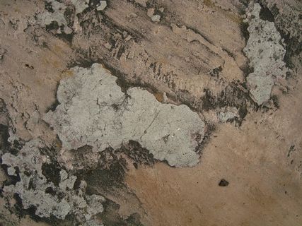 grunge_modern_tex...