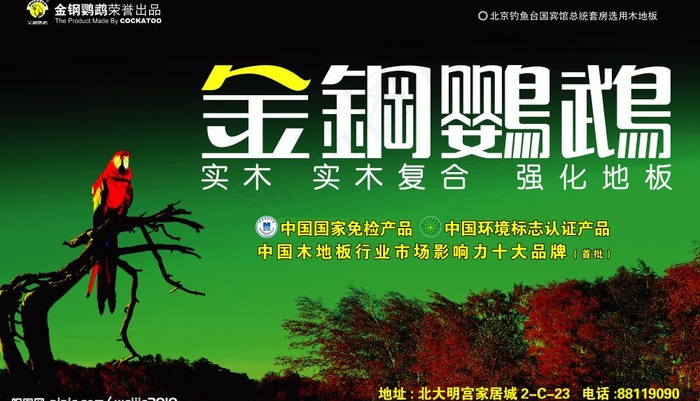 金刚鹦鹉地板图片(8268X5209(DPI:35))psd模版下载