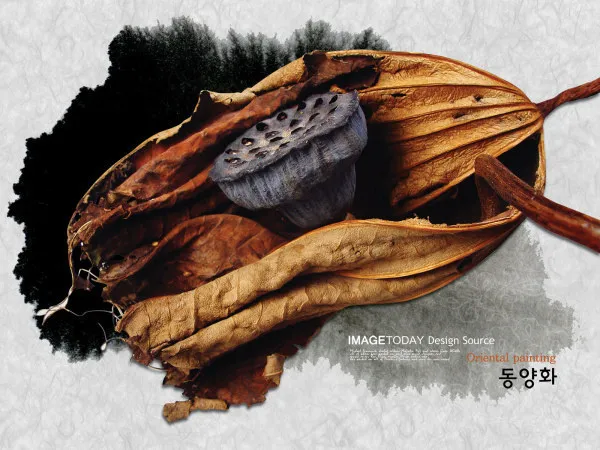 墨韵枯荷psd分层素材-4