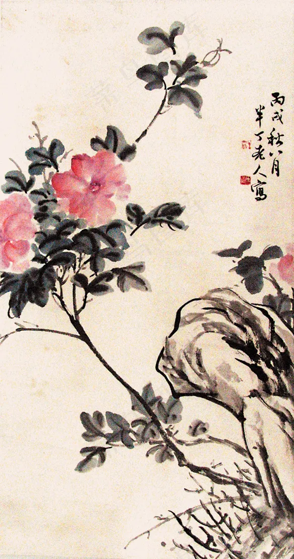 红花图