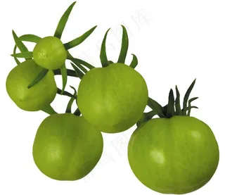 青西红柿图片