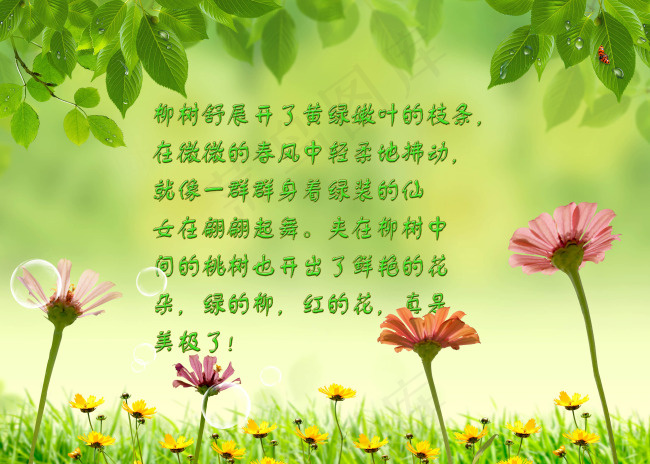 春天绿色素材(3500X2500(DPI:300))psd模版下载