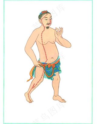 足阳明胃经图片