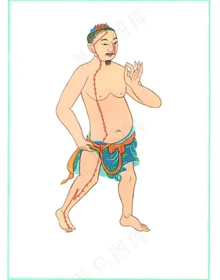 足阳明胃经图片