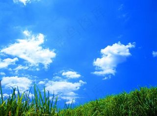 蓝天 绿草图片