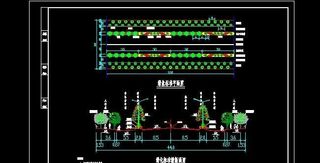 道路绿化标准平面及横断平面全套图
