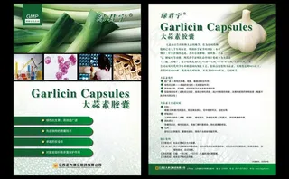 大蒜素胶囊单页正反面图片