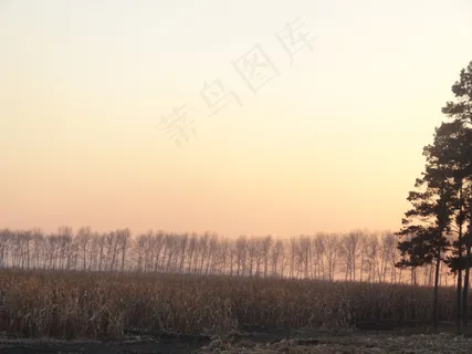 小麦地图片 小麦地图片
