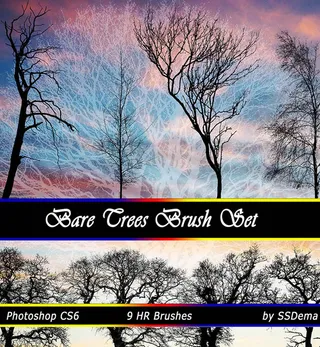 树木枝干笔刷树枝笔刷枯树