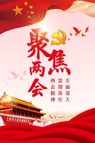 唯美大气聚焦两会党建海报