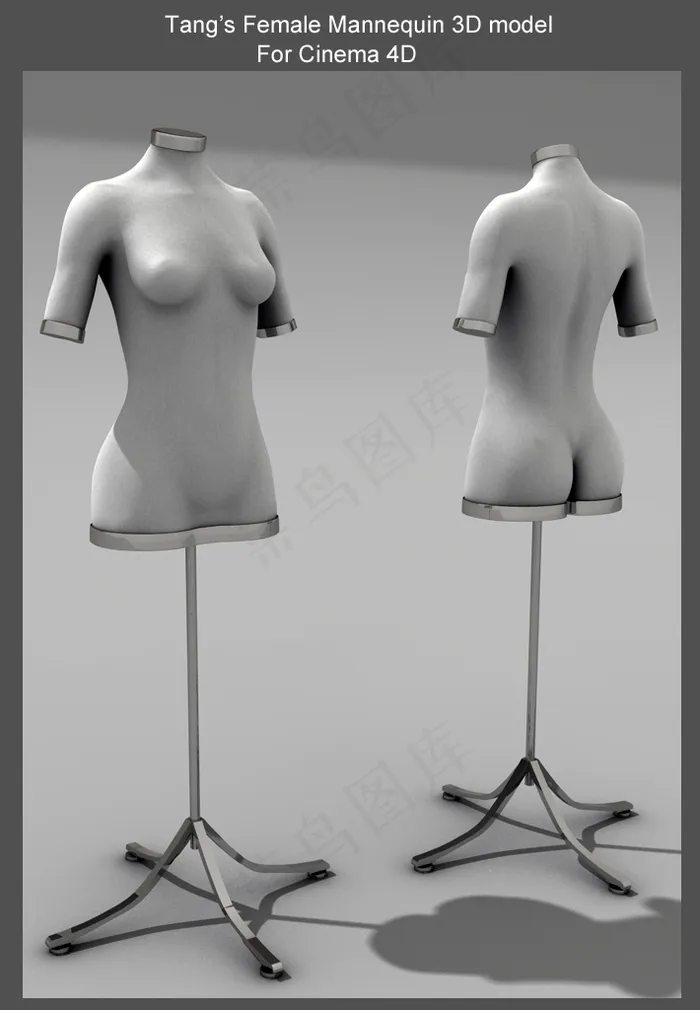 女体半身服装模特