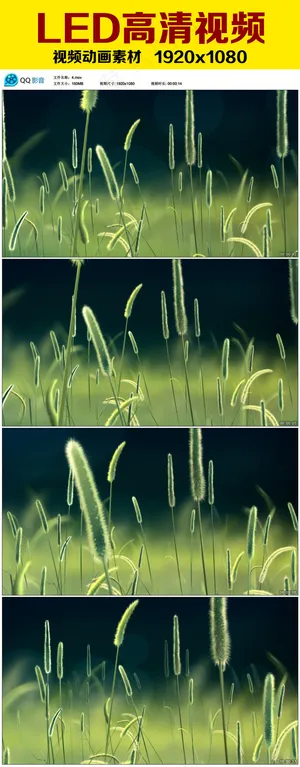 高清LED视频背景素材