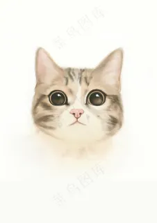 猫咪插画壁纸