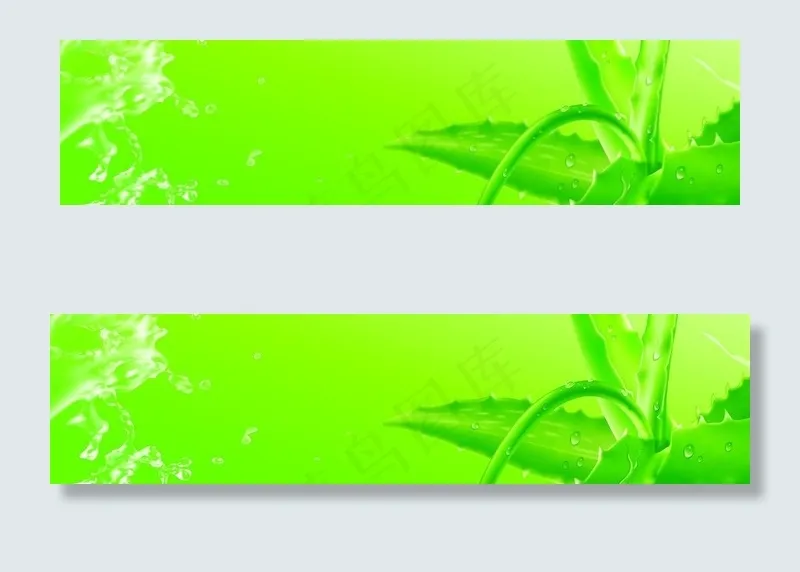 绿色水滴背景图片