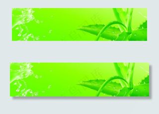 绿色水滴背景图片