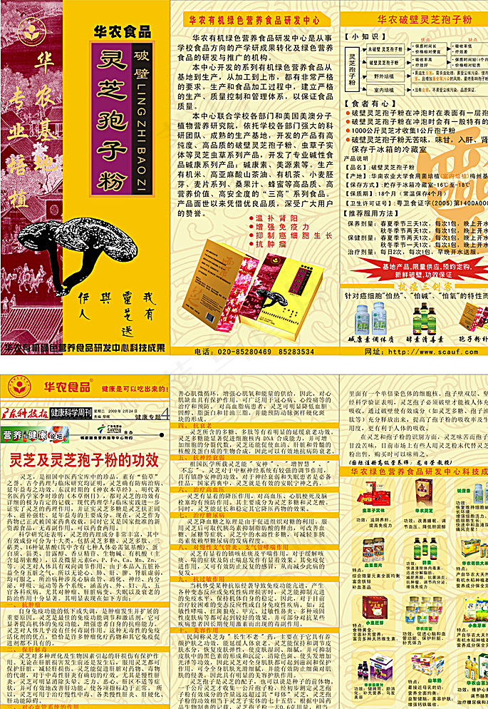 灵芝孢子粉折页传单图片cdr矢量模版下载