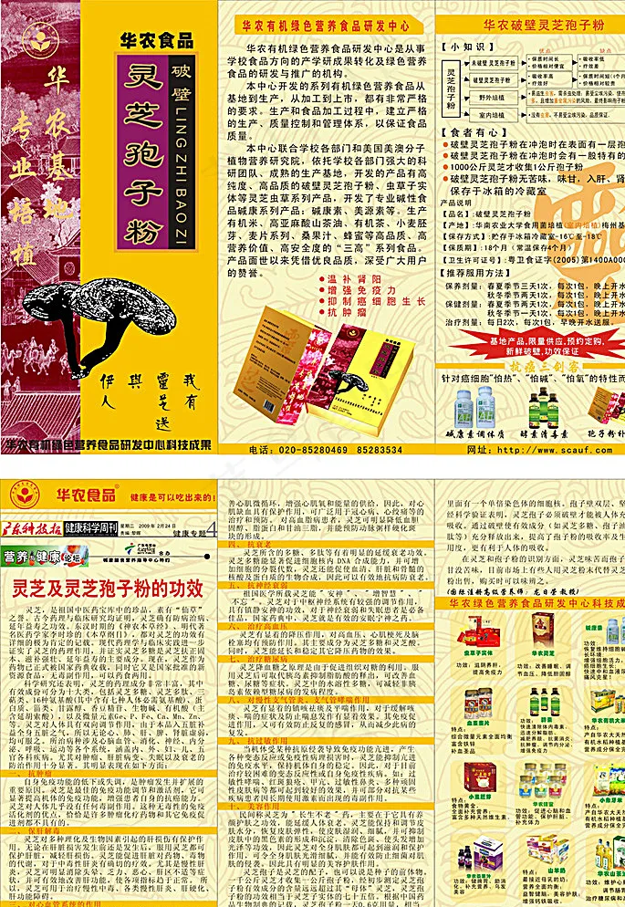 灵芝孢子粉折页传单图片cdr矢量模版下载