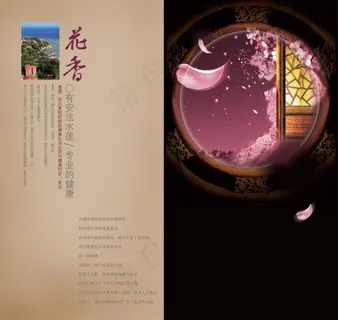 引领健康生活折页画册PSD