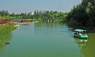 奥体森林公园奥海图片