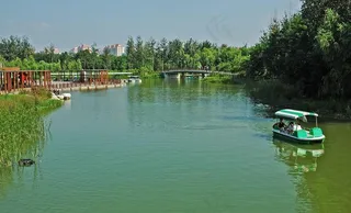 奥体森林公园奥海图片