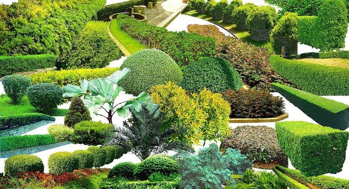草地图片