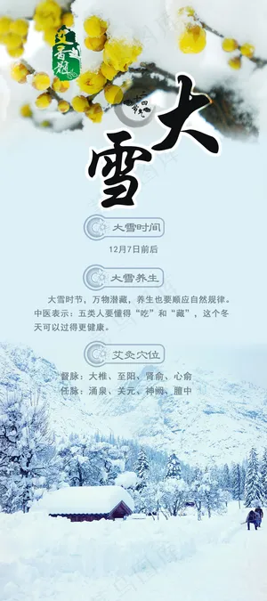 大雪养生0.8X1.8展架PSD源...