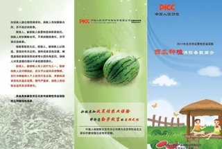 西瓜农业保险彩页图片