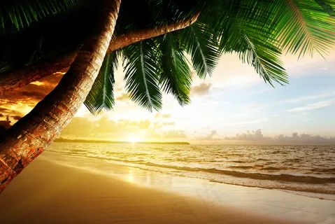 沙滩海洋风景图片