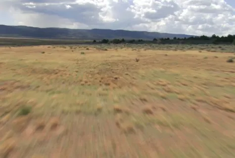 草原草地视频素材