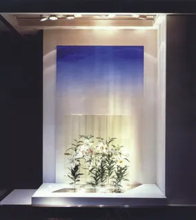 展示橱窗图片 展示橱窗图片