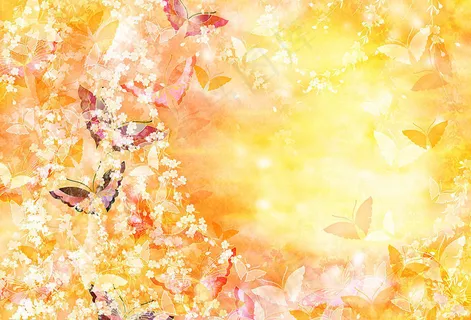 蝴蝶翩跹 蝴蝶翩跹