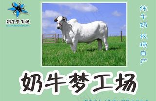 牛奶海报图片