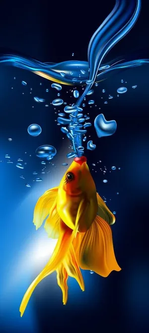 金鱼喷出的爱心水泡水柱图片