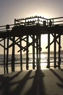 沙滩上的观景桥