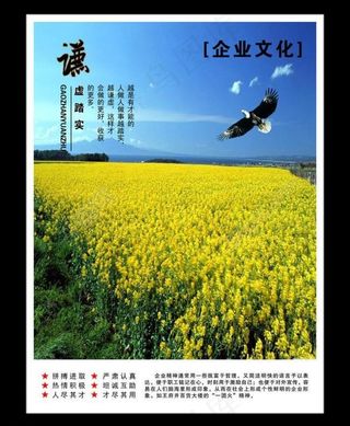 企业文化图片