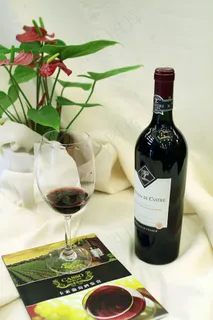 卡斯特红酒图片 卡斯特红酒图片