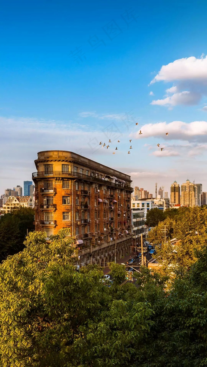 外国城市建筑天上飞的小鸟高清摄影图片