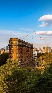 外国城市建筑天上飞的小鸟高清摄影图片