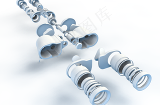 详细的双筒望远镜