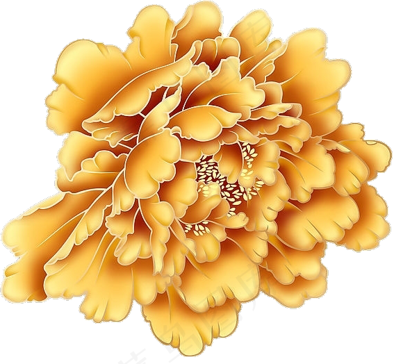 金色花卉素材免扣png