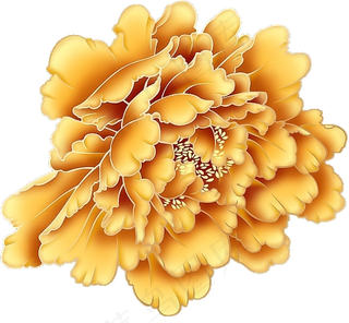 金色花卉素材免扣png