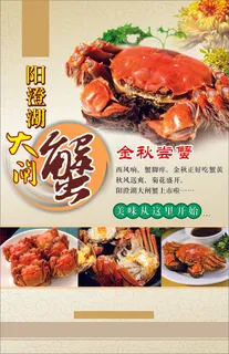 阳澄湖大闸蟹 阳澄湖大闸蟹