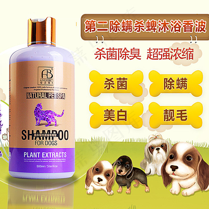 宠物用品主图图片