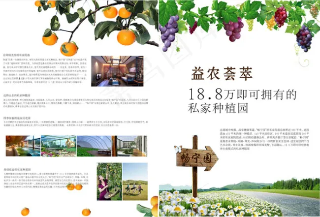 种植园单页设计ai矢量模版下载